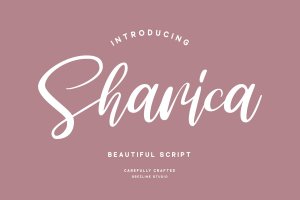 独特风格手绘脚本字体 Sharica Font
