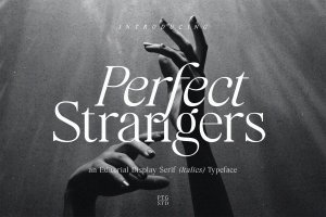 优雅斜体衬线字体素材 Perfect Strangers I Display Elegant serif Italics