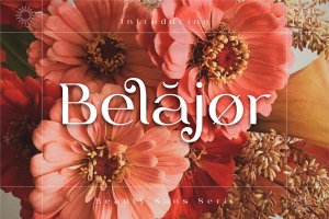 美丽优雅的无衬线字体素材 Belajor – Sans Serif Font
