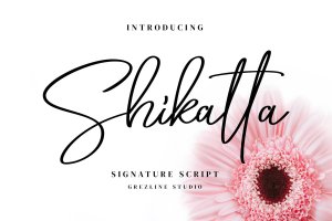 女性主义精美签名字体 Shikatta – Signature Font