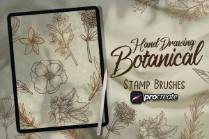 手绘植物元素印章Procreate笔刷素材 Hand drawing botanical brush stamp
