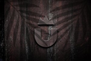 复古模板3D标志Logo样机 wood texture logo mockup