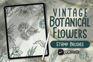 复古植物花朵印章Procreate笔刷素材 Vintage Botanical Flowers Brush Stamp