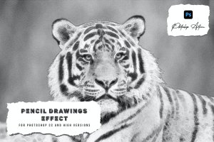 铅笔画效果照片处理PS动作 Pencil Drawings Effect Photoshop Action