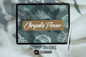 绽放花朵印章Procreate笔刷素材 Chrysalis Flower Brush Stamp  Procreate