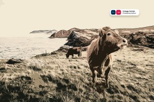 复古绘画油漆效果照片处理PS动作 Vintage Painter Photoshop Action