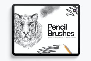 10个iPad专用铅笔Procreate笔刷素材 10 Pencil Brushes Procreate