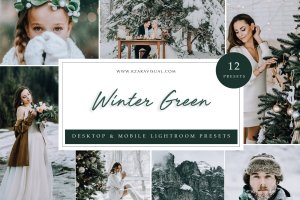 冬季绿色滤镜LR调色预设下载 Lightroom Presets – Winter Green