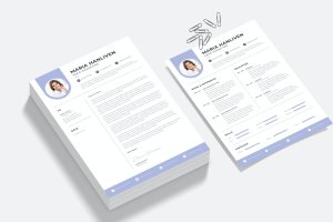 经典白色背景企业招聘简历模板 Modern Resume