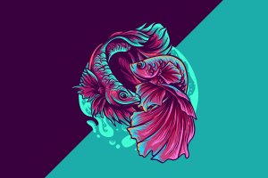 贝塔鱼艺术插画服装图案矢量素材v3 betta fish illustration