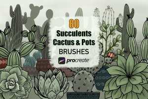 仙人掌多肉植物花盆元素Procreate笔刷素材 Cactus Succulents and Pots – Procreate Brushes
