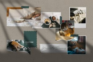 美学宝丽来照片墙情绪板样机模板 Aesthetic Photo Mockup Moodboard Template
