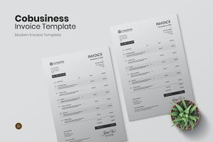 企业发货清单发票设计模板 Cobusiness Invoice