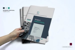 项目建议书/商业提案书设计模板v3 Proposal Template