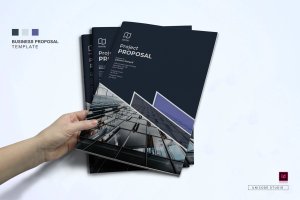 项目建议书/商业提案书设计模板v2 Proposal Template
