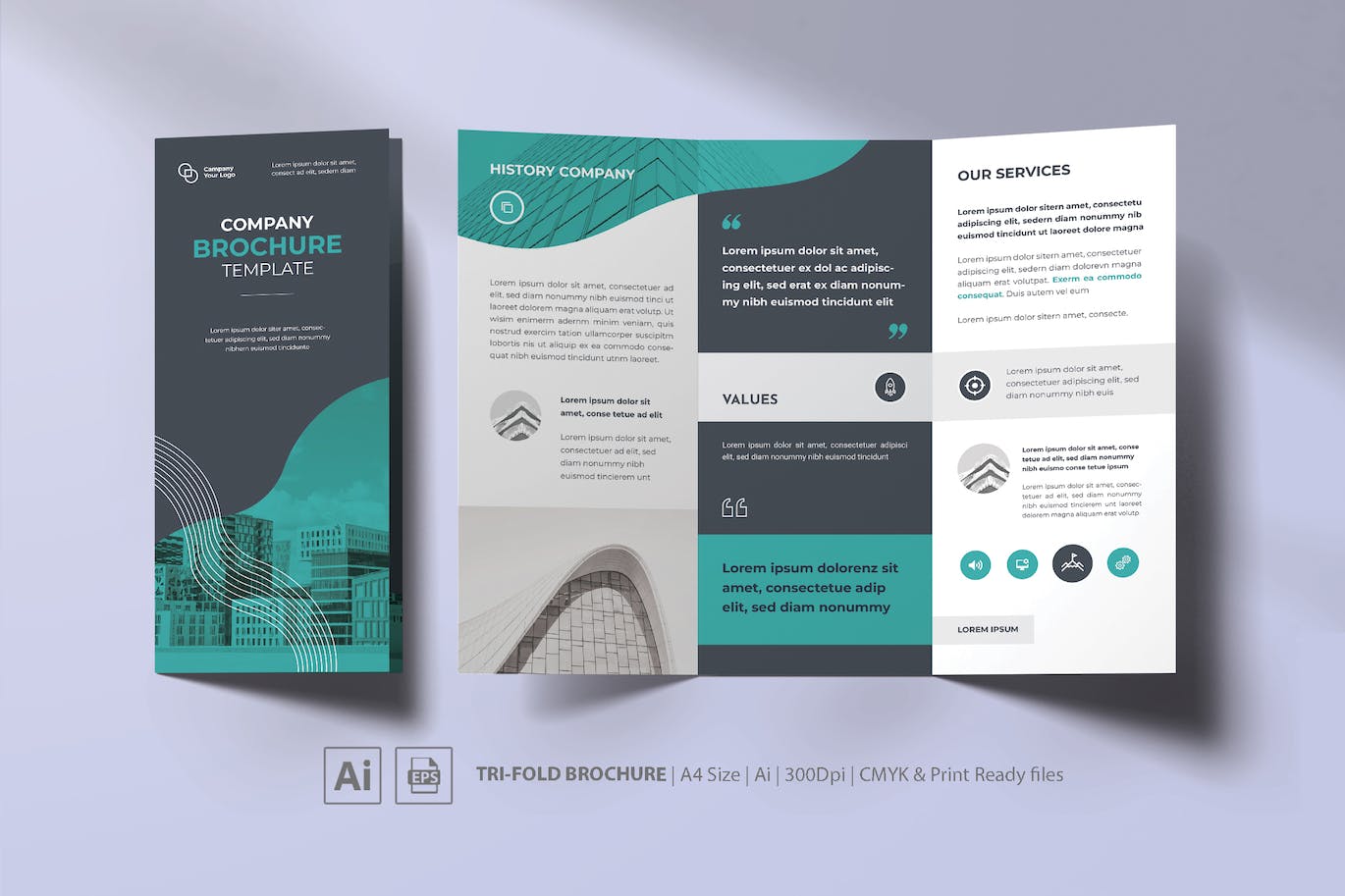 公司业务三折小册子设计模板 Company Trifold Brochure
