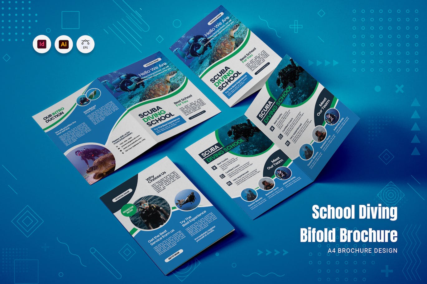学校潜水教学双折页宣传册设计模板 School Diving Bifold Brochure