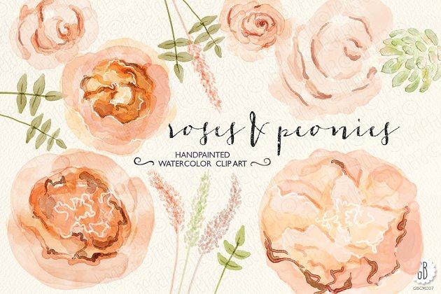 牡丹&朱丽叶玫瑰水彩画设计素材 Watercolor peonies, juliet roses