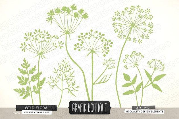 野生草本花卉矢量剪贴画 Wild Herbs Flowers silhouette vector