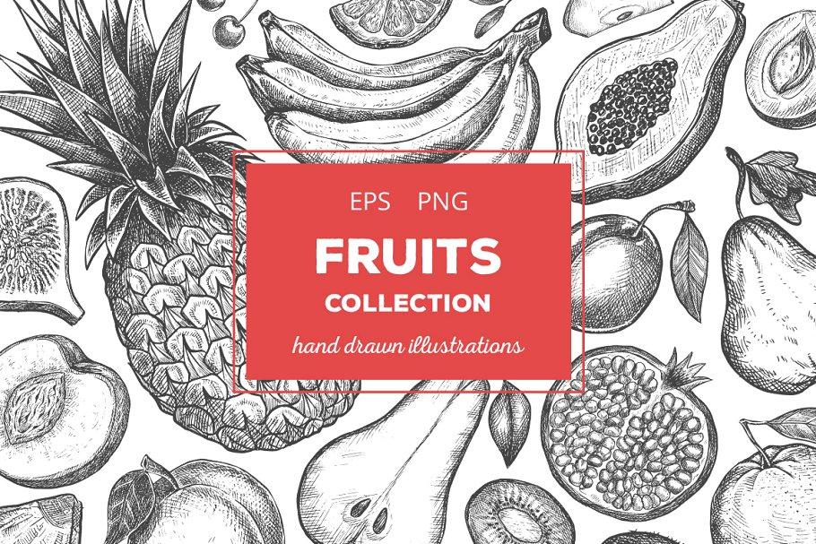 粗略风水果素描插图合集 Fruits Illustrations