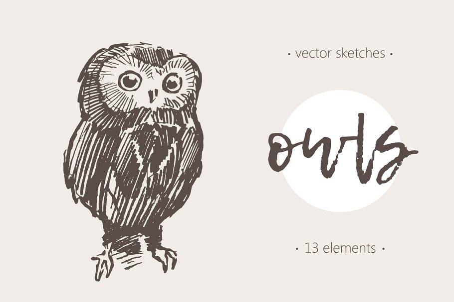 猫头鹰素描剪贴画 Sketches of owls
