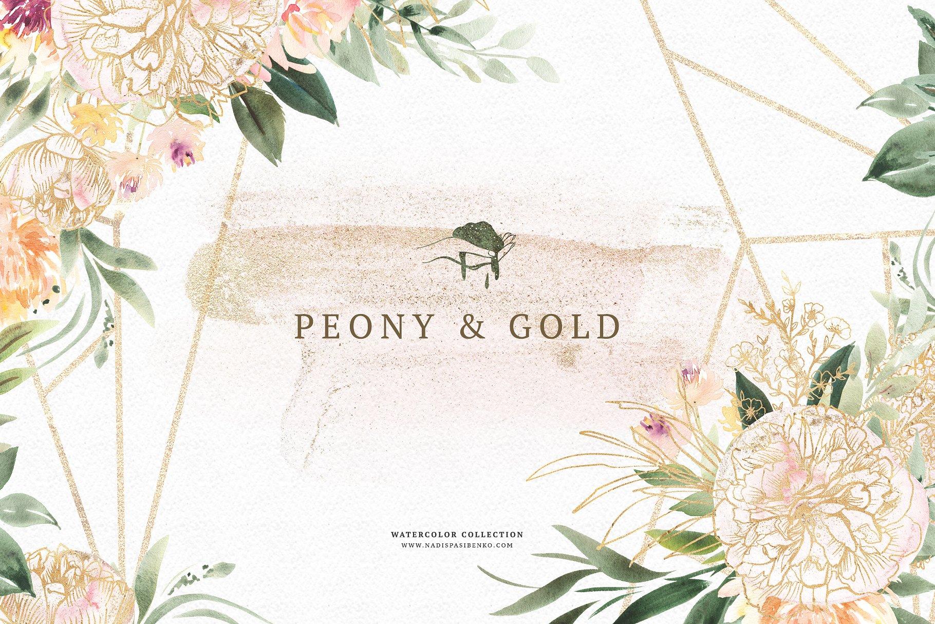 水彩画牡丹与黄金插画元素合计 Watercolor Peony & Gold