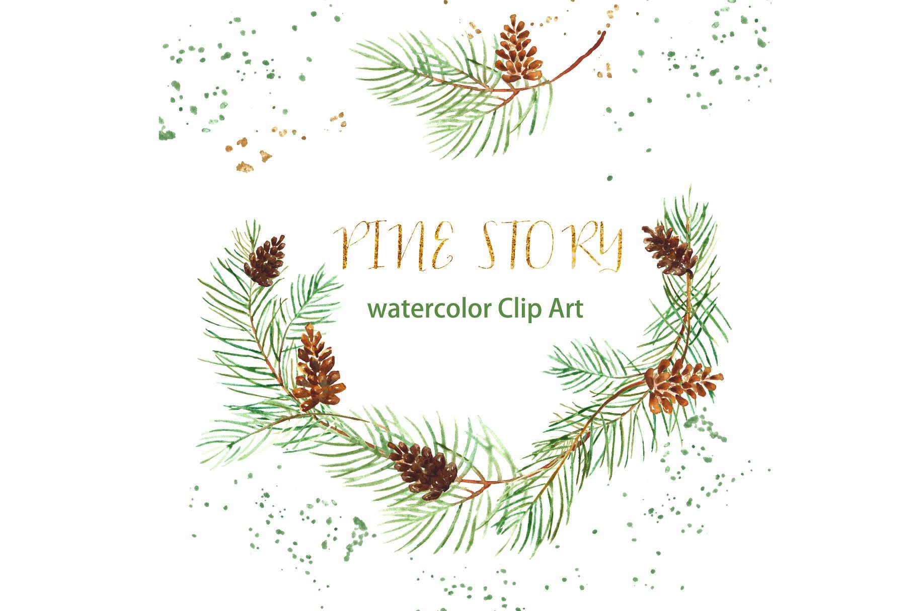 松枝水彩剪切画 Pine branches. Watercolor Clip Art.