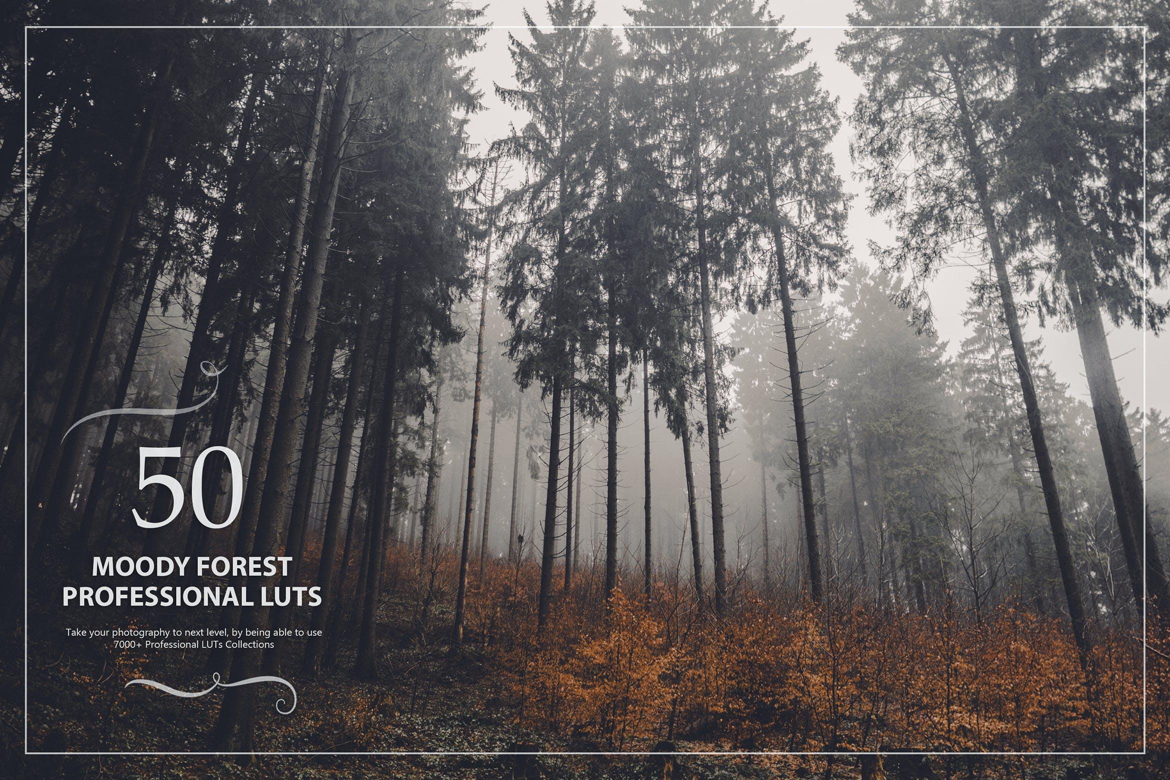 50款穆迪色调森林摄影Lightroom预设 50 Moody Forest LUTs (Look Up Tables)