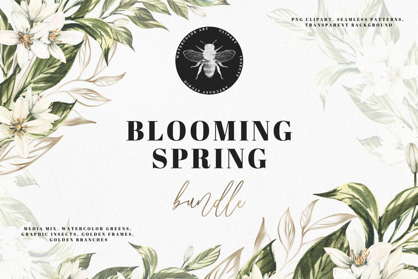 手绘盛开水彩春天花卉插图套件 Watercolor Blooming Spring