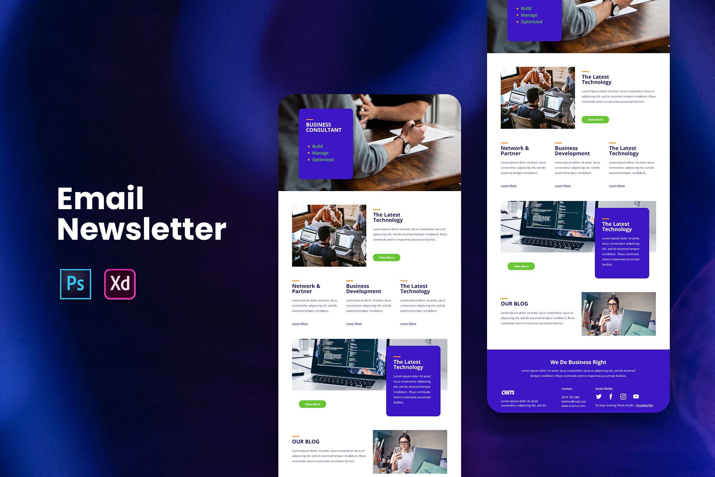 企业咨询公司网站邮件订阅营销设计模板 Professional Email Newsletter