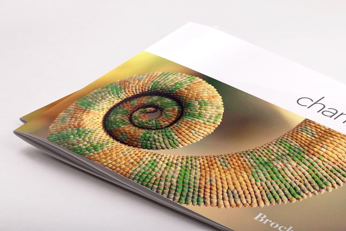 宣传小册子排版设计模板 Chameleon Free InDesign Brochure Template